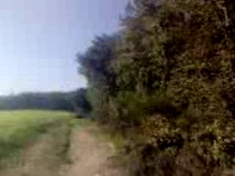 VTT