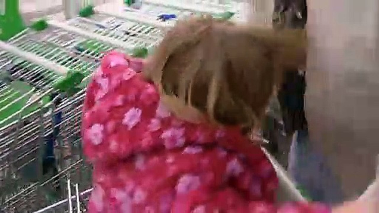 Girl Suffers Major Tantrum Because She Hates Shopping Trollies | I Want My Mummy Series 1 EP►SO 2 | Eglantine Egla