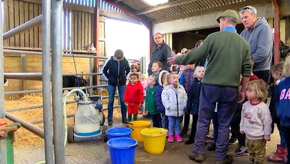 Lambing Season At The Court Farm Country Park!