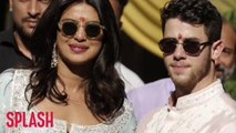 Nick Jonas And Priyanka Chopra Are Planning A Family?