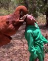 Cet homme a secouru un petit éléphant. Regardez comment il le remercie !