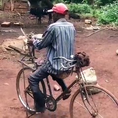 Cette création hors du commun confirme que l'Afrique a du génie. Regardez !