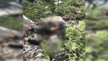 Muğla'da Yamaç Paraşütü Kazası: 2 Ölü