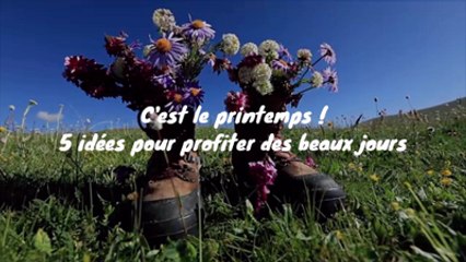 Printemps : 5 idées pour profiter des beaux jours