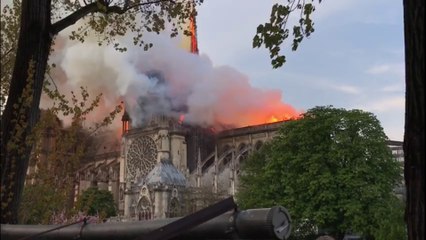 Video herunterladen: La flèche en feu de Notre-Dame de Paris s'effondre