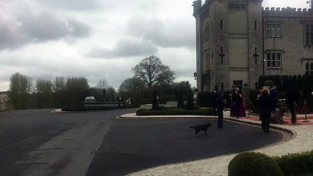 Vintage Wedding Car Hire Dublin