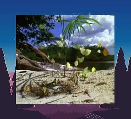 Baby Einstein 22 - Baby Van Gogh - World of Colors (06mos)