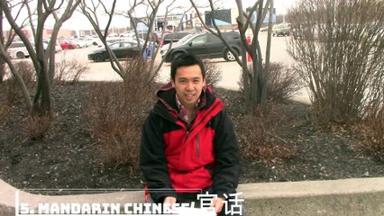 Top 10 most popular language in India (Respnse to The Polyglot Files)