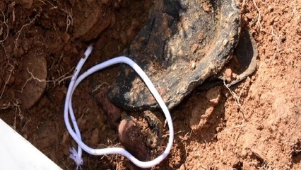 DMZ '6·25 전사자 유해' 4점 추가 발견 / YTN