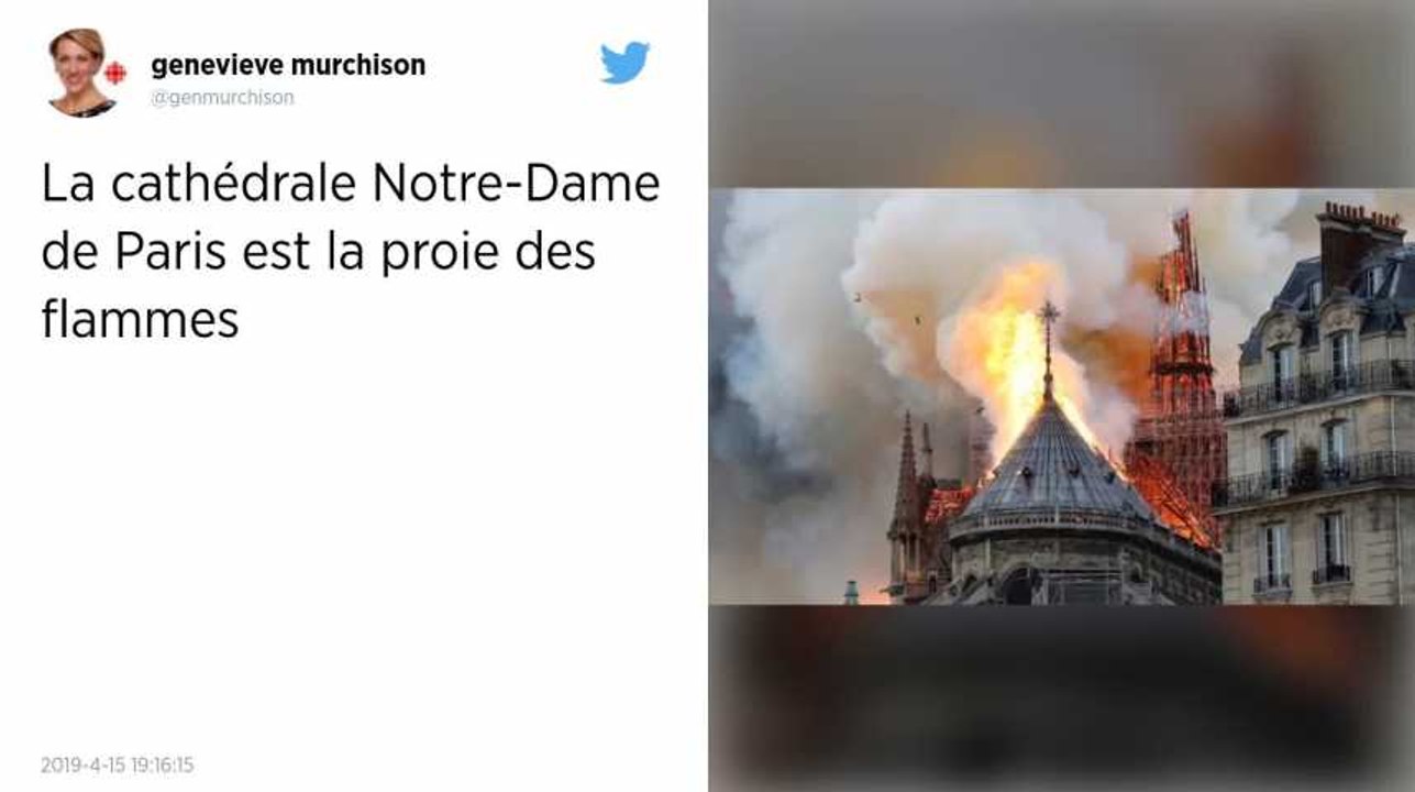La cathédrale Notre-Dame de Paris ravagée par les flammes