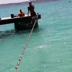 Balancing and Flipping on a Slack Line