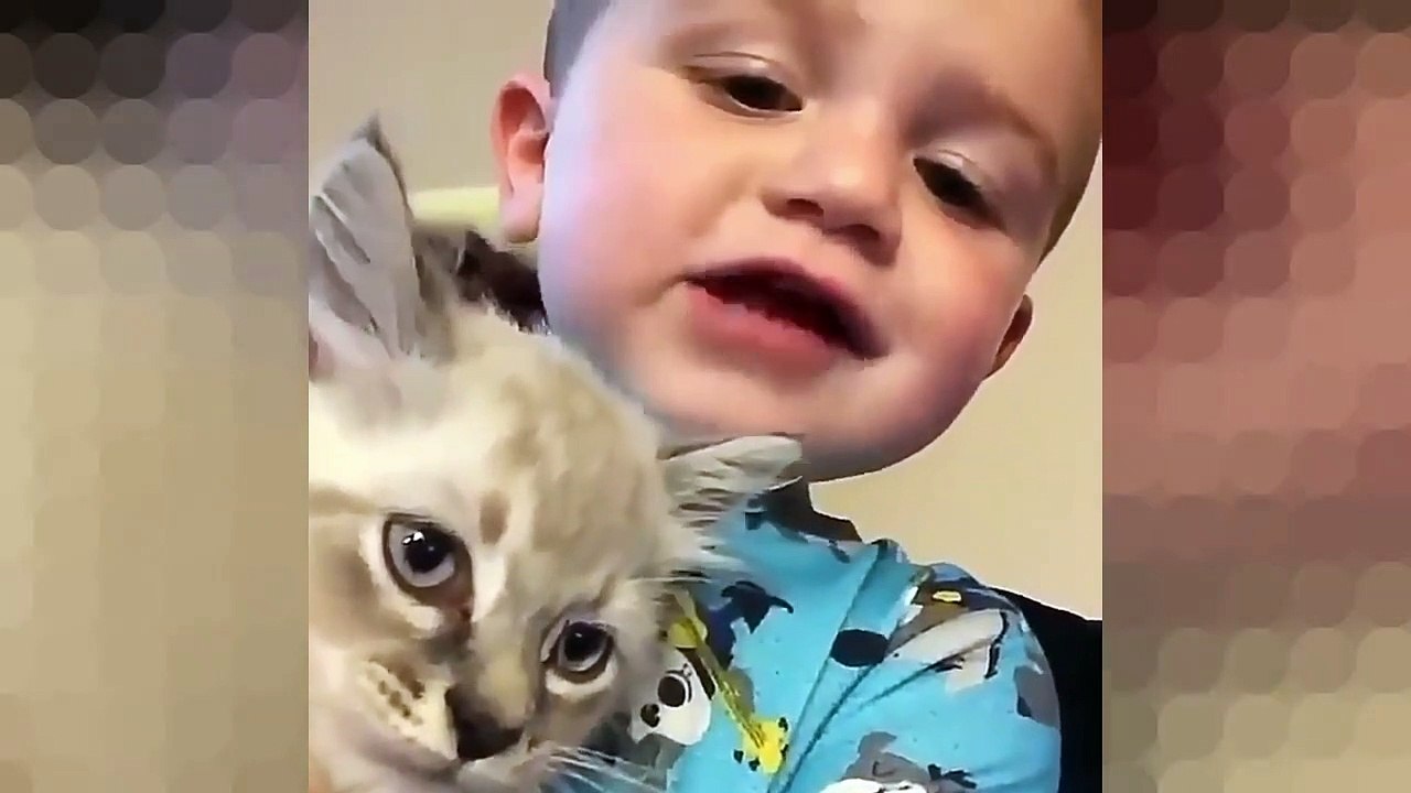 GATO se PONE y QUITA las GAFAS SOLO El MEJOR VIDEO DE GATOS 12Recopilación Gatos graciosos