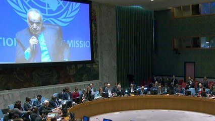 الأمم المتحدة تكشف عن تدخل إماراتي مصري لصالح حفتر