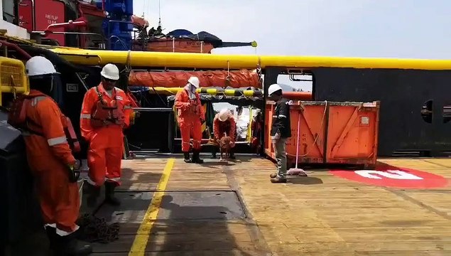 Dog Rescued By Oil Rig Workers, 220 Kilometers Away from Land in the Gulf of Thailand