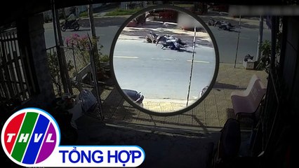 THVL | Chuyện cảnh báo: Tai họa từ súc vật chạy ngoài đường