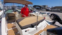 2019 Sea Ray SPX 210 Outboard Boat For Sale at MarineMax Wrightsville Beach, NC