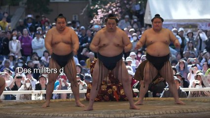 Festival annuel de sumo au sanctuaire de Yasukuni à Tokyo