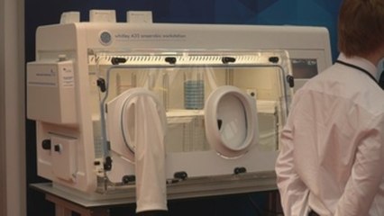 Científicos alertan de un millón de nuevos contagios con malaria en Venezuela