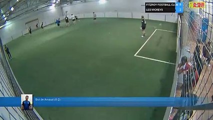 But de Arnaud (8-2) - FITZROY FOOTBALL CLUB  Vs LES MICKEYS - 15/04/19 21:00 - LIGUE 4