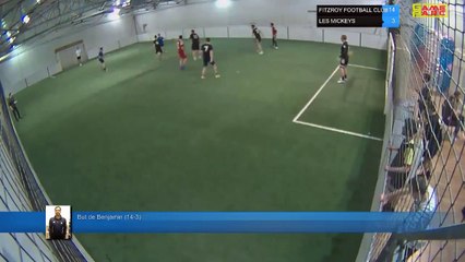 But de Benjamin  (14-3) - FITZROY FOOTBALL CLUB  Vs LES MICKEYS - 15/04/19 21:00 - LIGUE 4