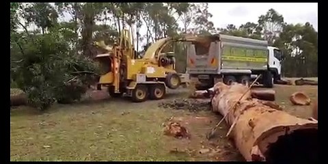 Tall timbers tree services - Tree shredder