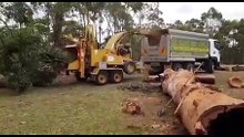 Tall timbers tree services - Tree shredder