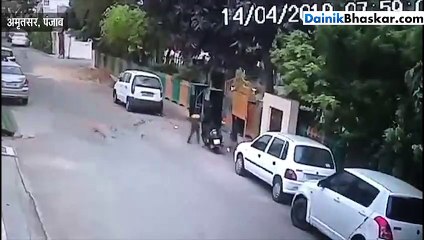 6 साल के बच्चे पर कुत्तों का अटैक