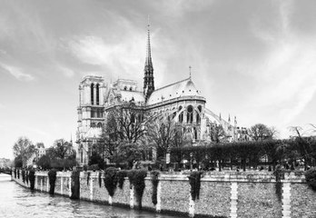 Notre-Dame de Paris en chiffres
