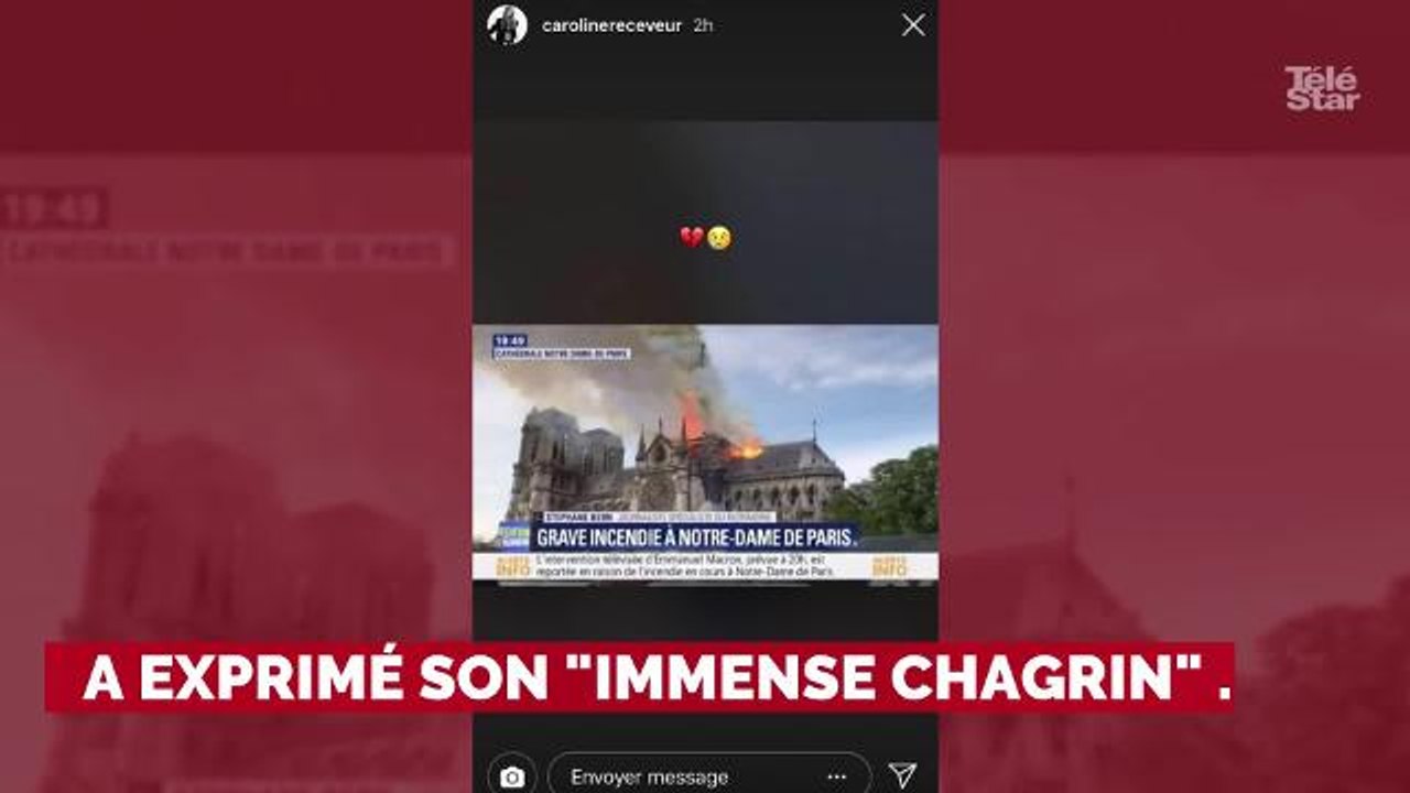 PHOTOS. Incendie de Notre-Dame de Paris : Cyril Hanouna, Nagui, Laurence Boccolini... les stars de la télé touchées