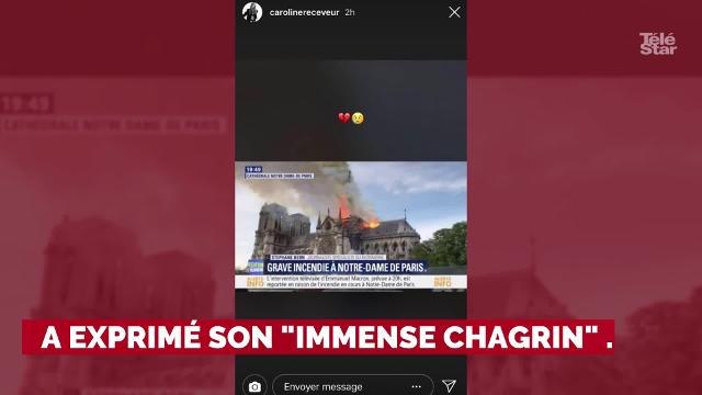 PHOTOS. Incendie de Notre-Dame de Paris : Cyril Hanouna, Nagui, Laurence Boccolini... les stars de la télé touchées