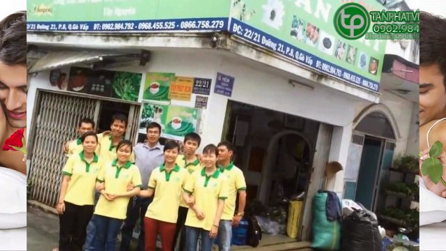 Địa chỉ bán củ ba kích tím tại tphcm ◥ 0971 443 663 ◥ Thảo Dược Tấn Phát