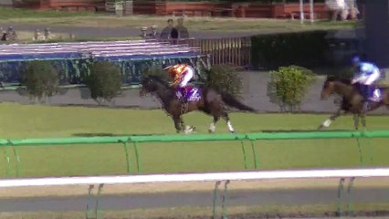 21th Nakayama Grand Jump Racing