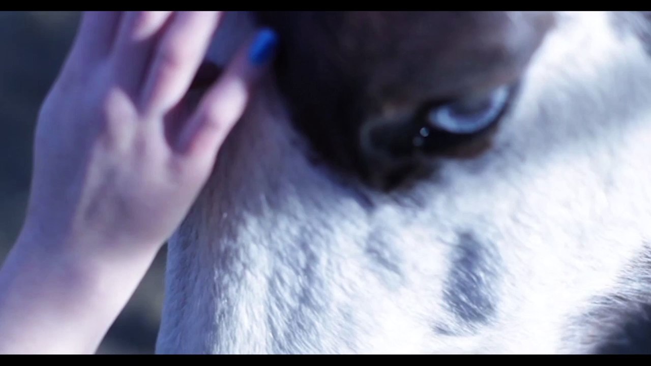 Must Put her horse Down (music by Tisabel)