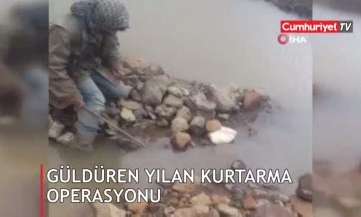 Sosyal medyayı kahkahaya boğan yılan kurtarma videosu
