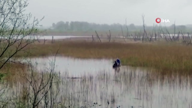 Balık için kurdukları ağda kuşlar can veriyor