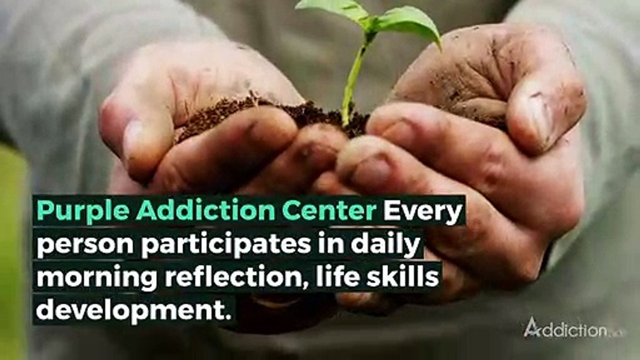 Purple Addiction Center