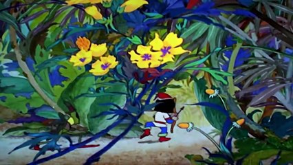 El Pajaro Loco en Español | Hollywood Matador | Dibujos Animados en Español