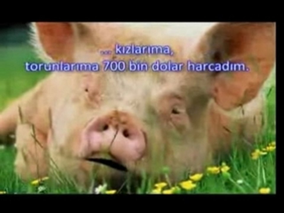 paraya doyamıyor