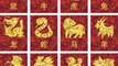 Everything you need to know about Chinese Astrological Signs