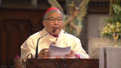 염수정 추기경 "노트르담 성당 화재, 큰 비극" / YTN