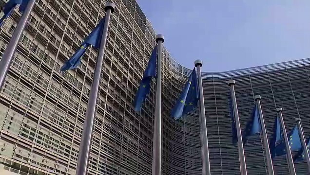 Élections européennes : le parti populiste allemand AfD fait campagne avec des fake news