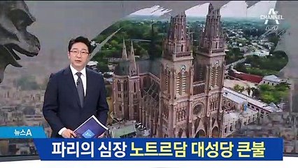 불에 탄 ‘프랑스 상징’…노트르담 대성당 화재에 ‘충격의 파리’