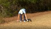 Règles de golf 2019 : Comment mesurer sa zone de dégagement et dropper