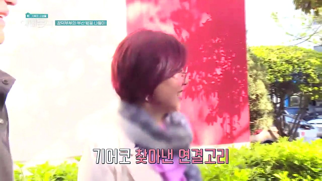 부산 벚꽃 나들이 권장덕♡조민희 부산 인기 셀럽으로 등극?!