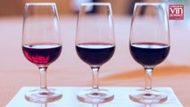 Beaujolais nouveau : comment élabore t-on du vin en quelques semaines ?