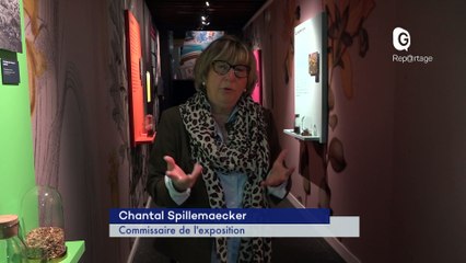 Reportage - "L'ivresse des sommets" à consommer sans modération