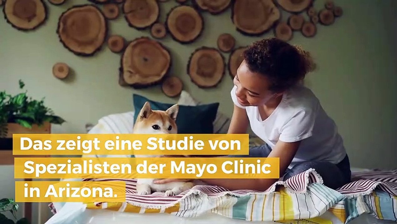 Solltest du mit deinem Hund schlafen?
