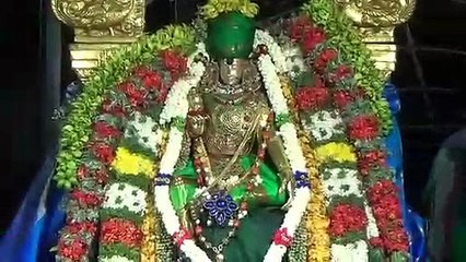 மதுரை மீனாட்சி அம்மனுக்கு பட்டாபிஷேகம்..வீடியோ