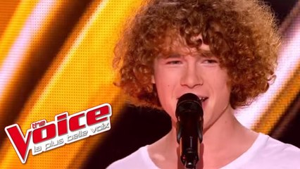 Gaetano Donizetti – Una Furtiva Lagrima | Pierre G. | The Voice France 2013 | Blind Audition