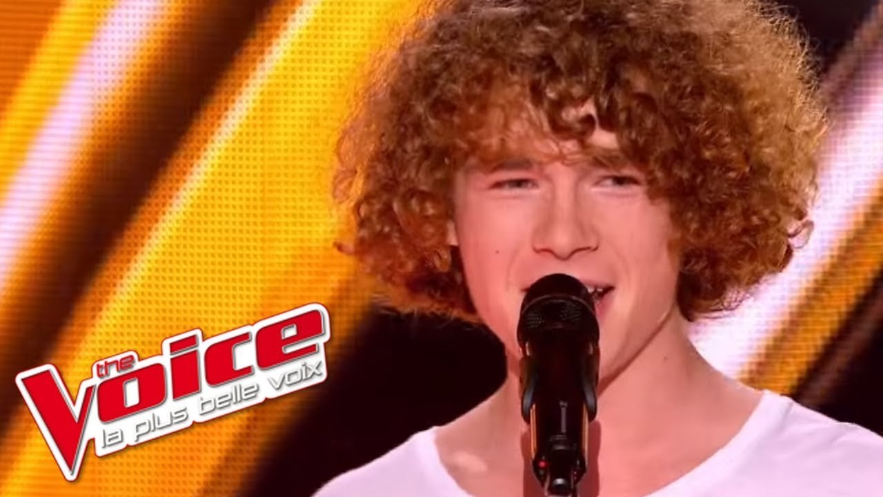 Gaetano Donizetti – Una Furtiva Lagrima | Pierre G. | The Voice France 2013 | Blind Audition